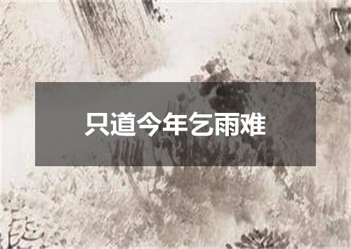 只道今年乞雨难