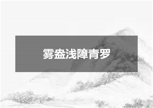 雾盎浅障青罗