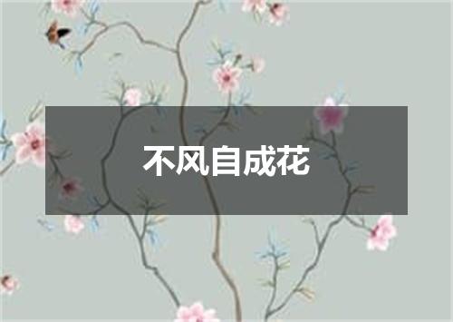 不风自成花
