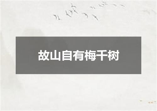 故山自有梅千树
