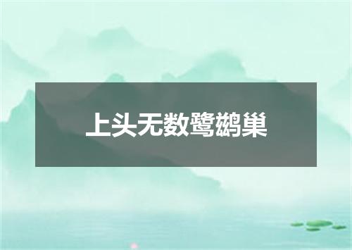 上头无数鹭鹚巢