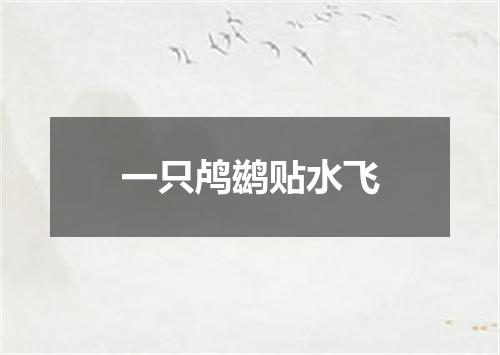 一只鸬鹚贴水飞