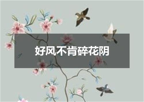 好风不肯碎花阴