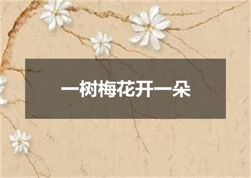 一树梅花开一朵