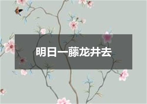 明日一藤龙井去