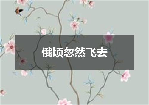 俄顷忽然飞去