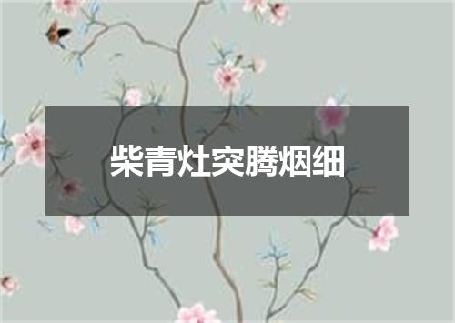 柴青灶突腾烟细