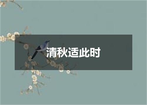 清秋适此时