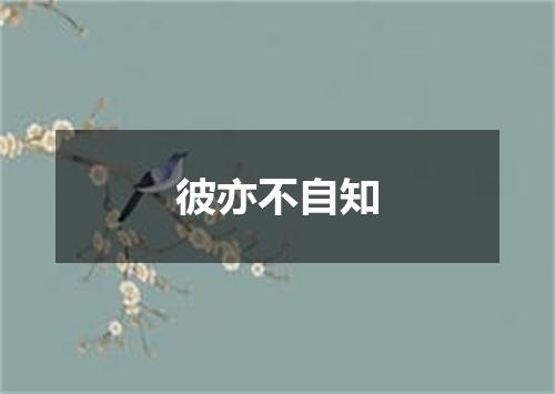 彼亦不自知