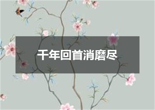 千年回首消磨尽