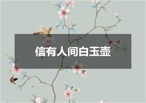 信有人间白玉壶