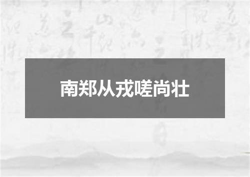 南郑从戎嗟尚壮