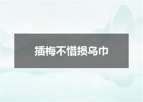 插梅不惜损乌巾