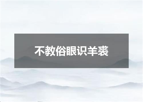 不教俗眼识羊裘