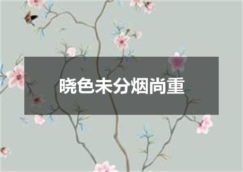 晓色未分烟尚重