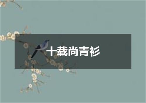 十载尚青衫