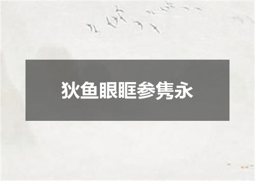 狄鱼眼眶参隽永