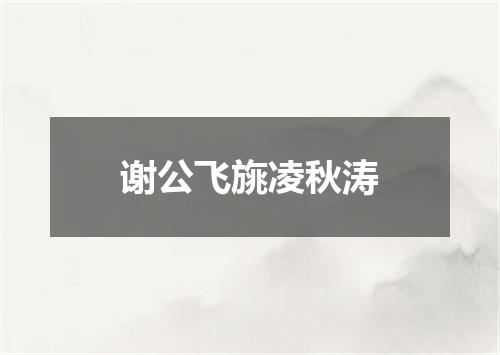 谢公飞旐凌秋涛