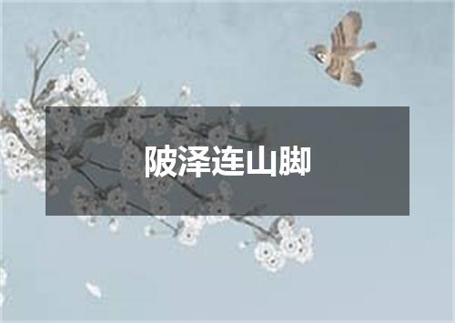 陂泽连山脚