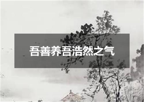 吾善养吾浩然之气
