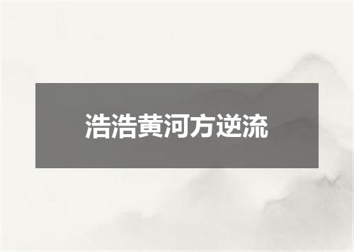 浩浩黄河方逆流