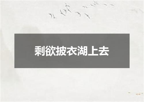 剩欲披衣湖上去