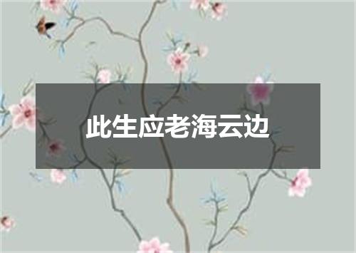 此生应老海云边
