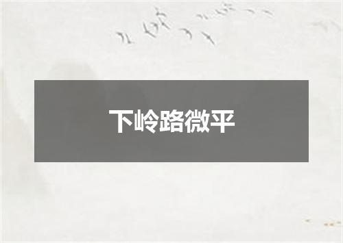 下岭路微平