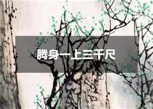 腾身一上三千尺