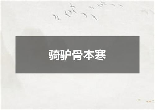 骑驴骨本寒