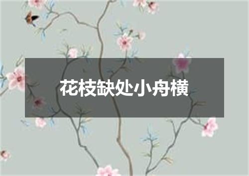 花枝缺处小舟横