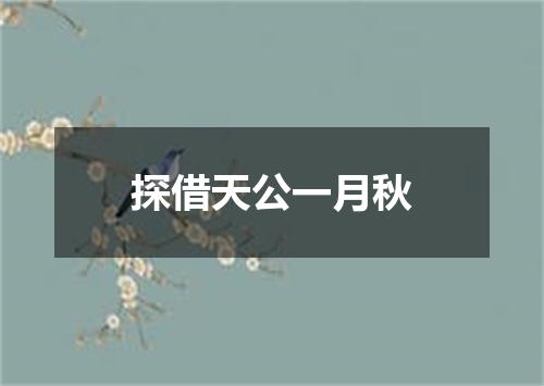 探借天公一月秋