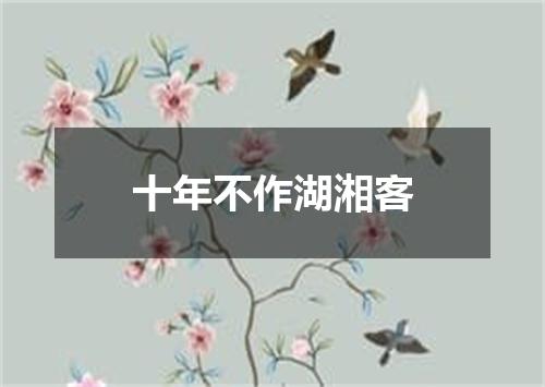 十年不作湖湘客
