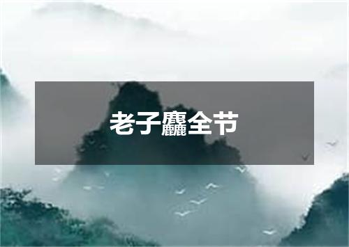 老子麤全节