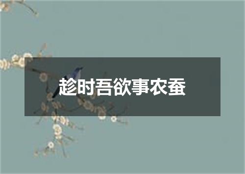 趁时吾欲事农蚕