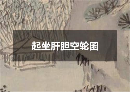 起坐肝胆空轮囷