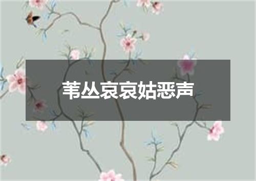 苇丛哀哀姑恶声