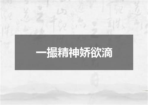 一撮精神娇欲滴