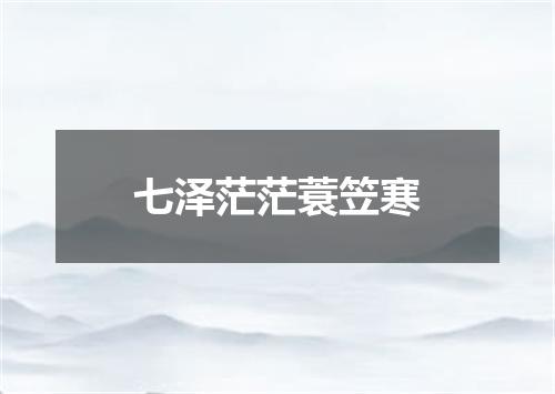 七泽茫茫蓑笠寒