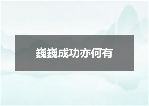 巍巍成功亦何有