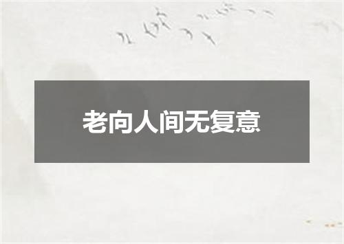 老向人间无复意