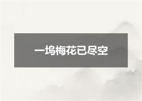 一坞梅花已尽空