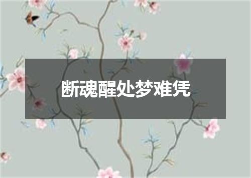 断魂醒处梦难凭