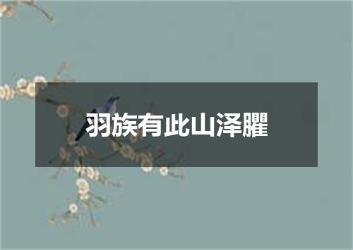 羽族有此山泽臞