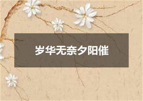岁华无奈夕阳催