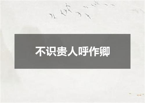 不识贵人呼作卿