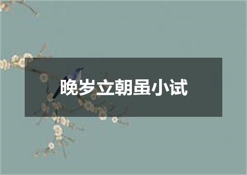 晚岁立朝虽小试