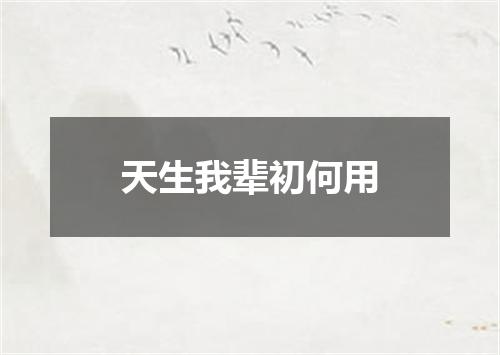 天生我辈初何用