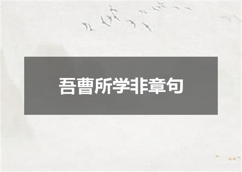 吾曹所学非章句