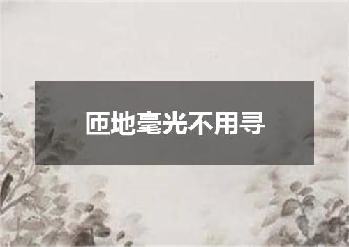 匝地毫光不用寻